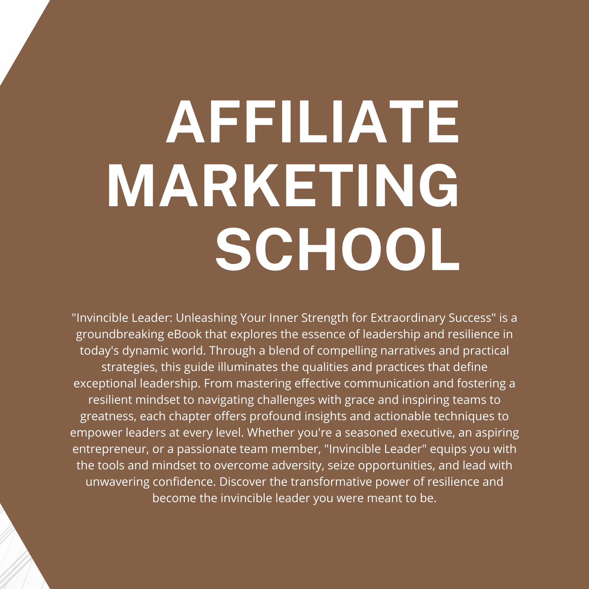 Affiliate Marketing School Ebook