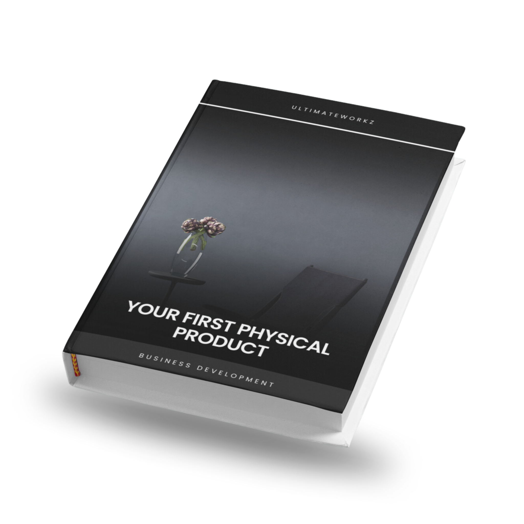 Your First Physical Business Product Ebook