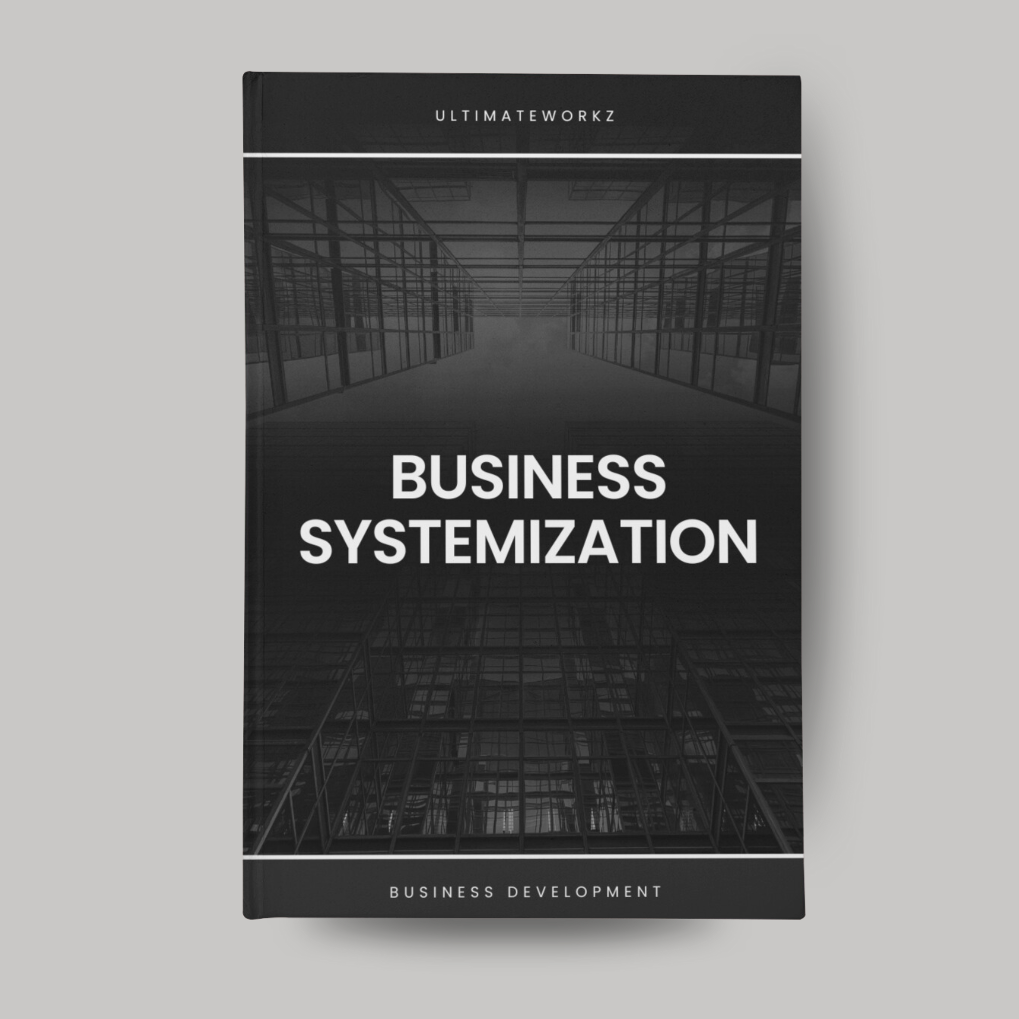 Business Systemization Ebook