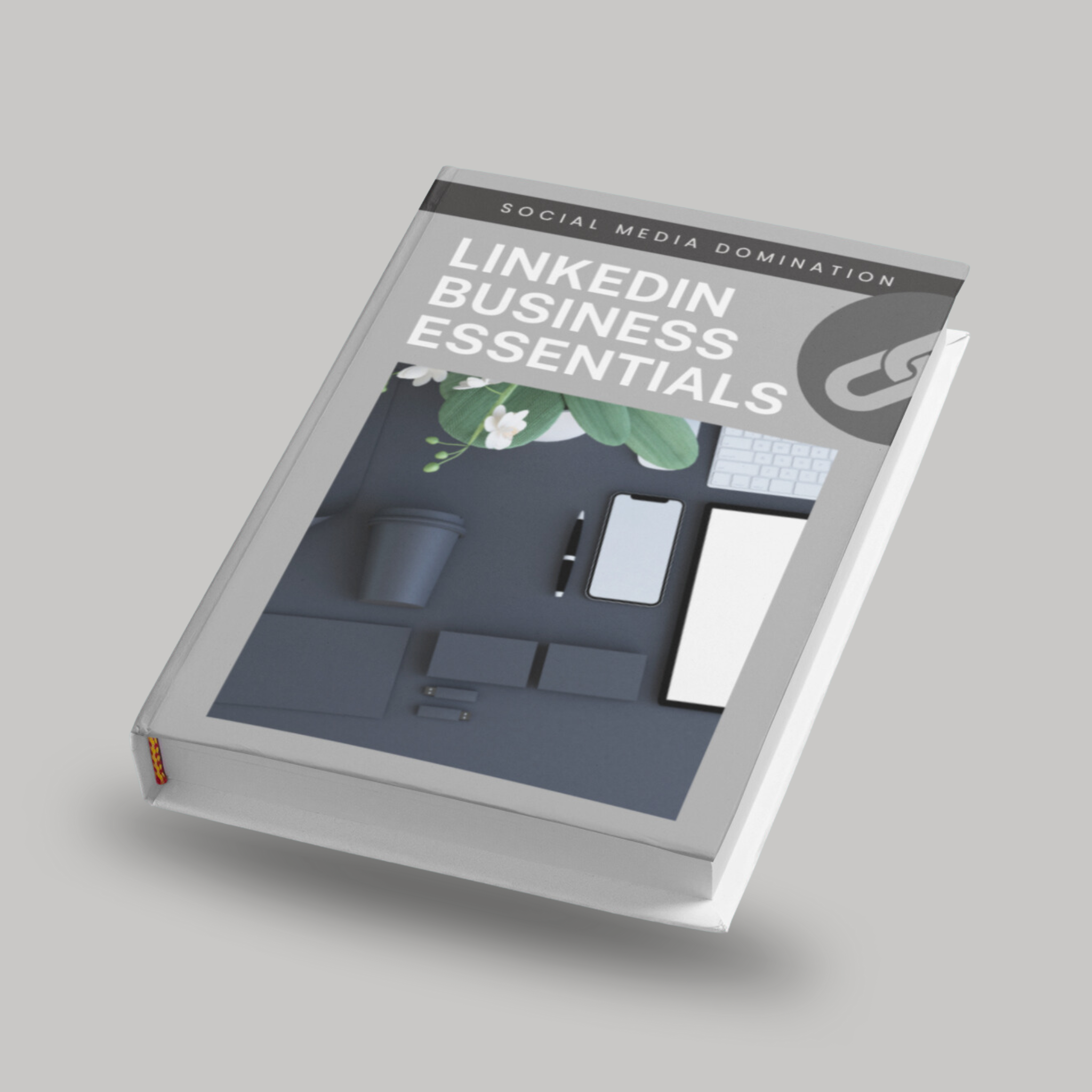 LinkedIn Business Essentials Ebook