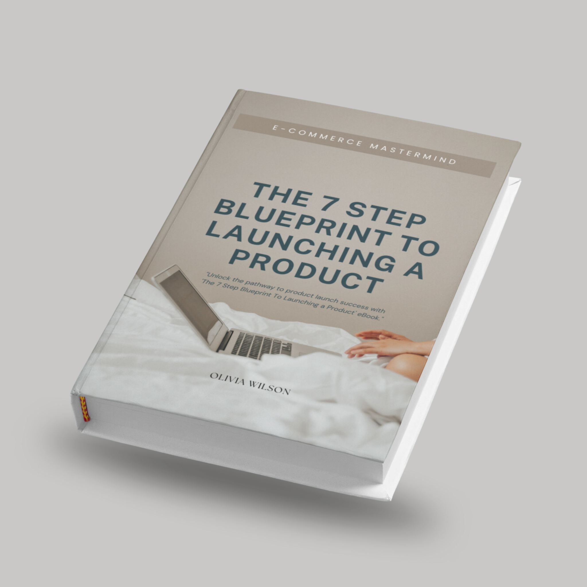 7-Step Blueprint to launching a product Ebook