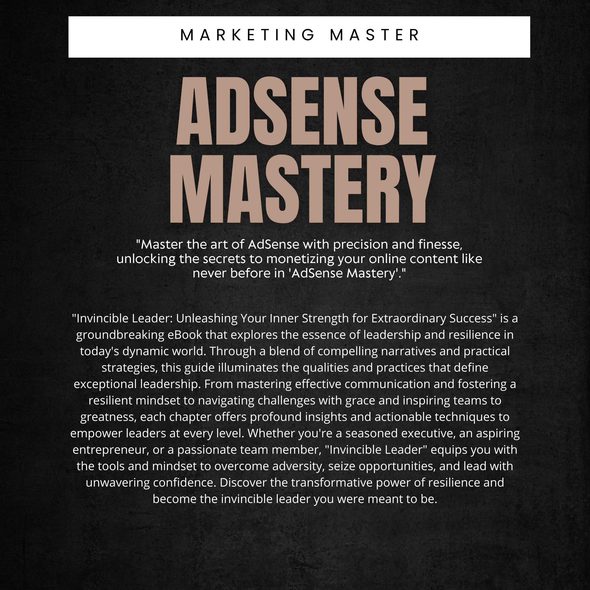 Adsense-Meisterschaft Ebook