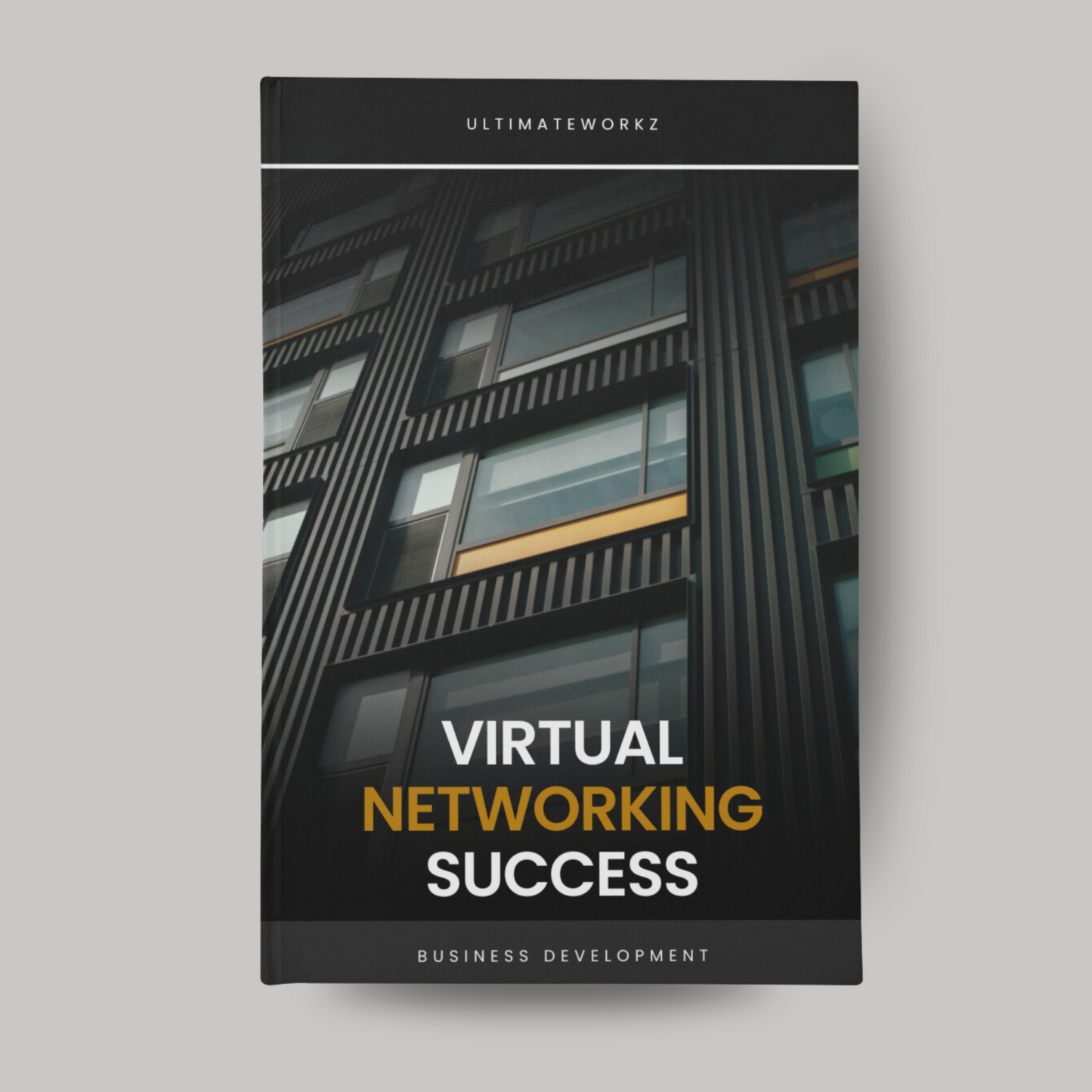 Virtual Networking Success Ebook