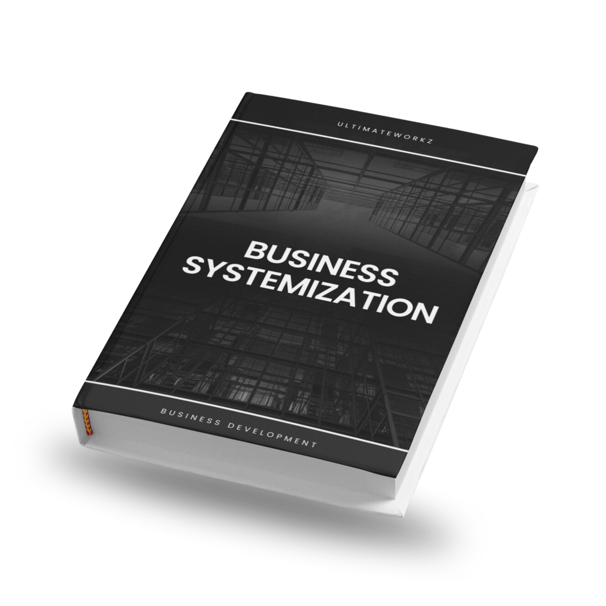 Business Systemization Ebook