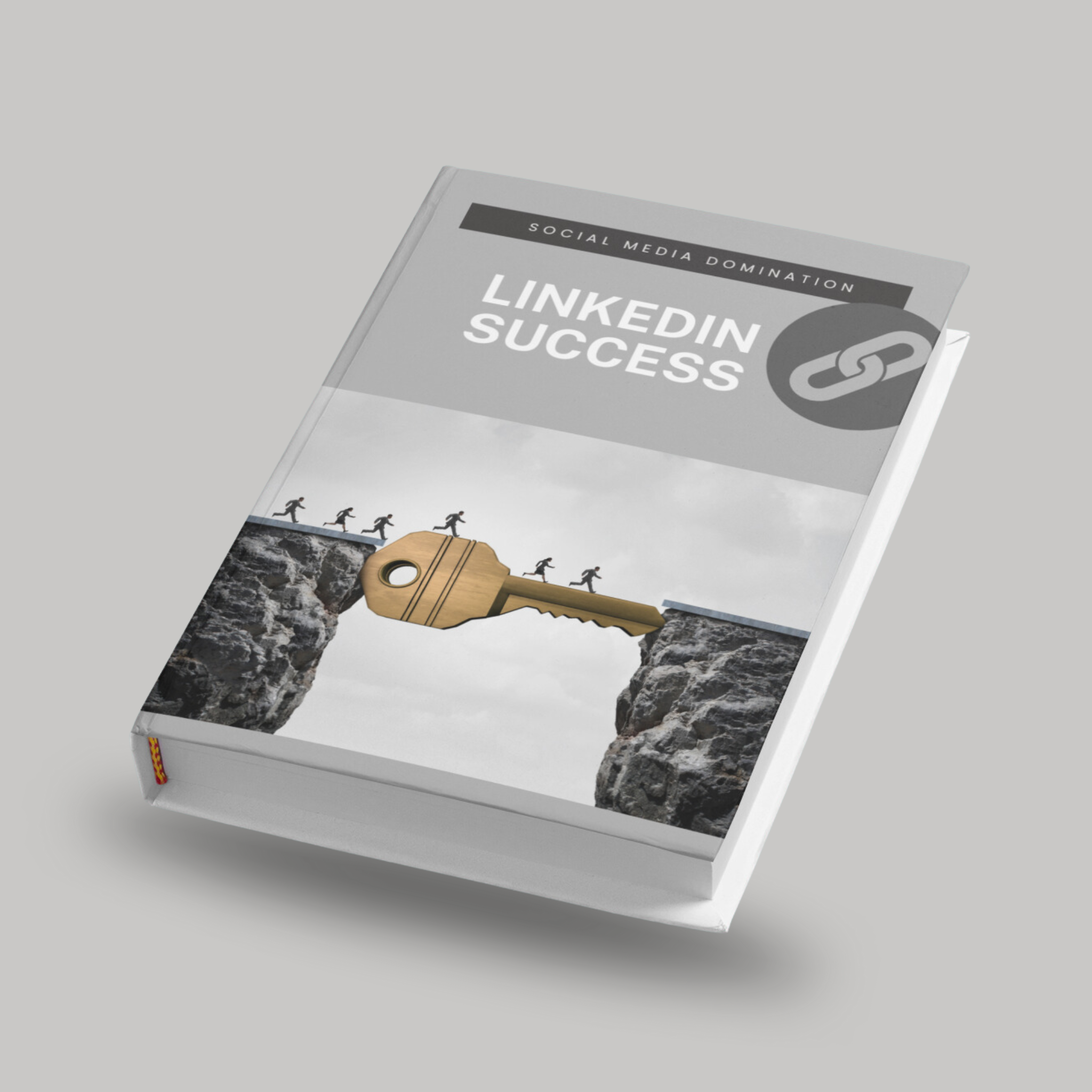 E-Book zum Erfolg mit LinkedIn