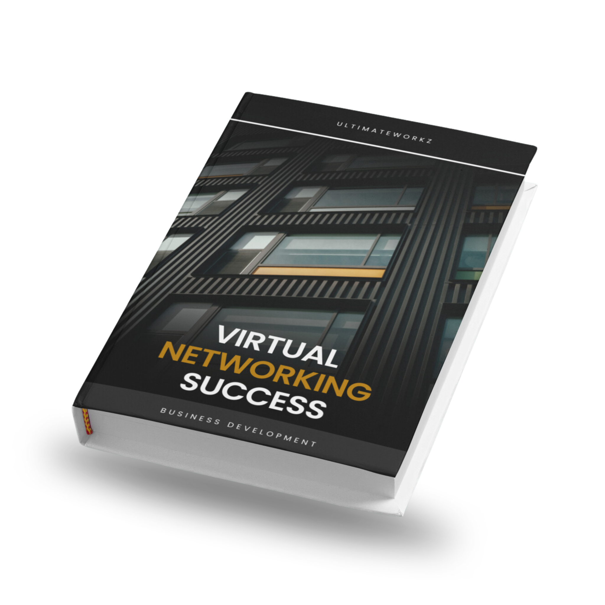 Virtual Networking Success Ebook