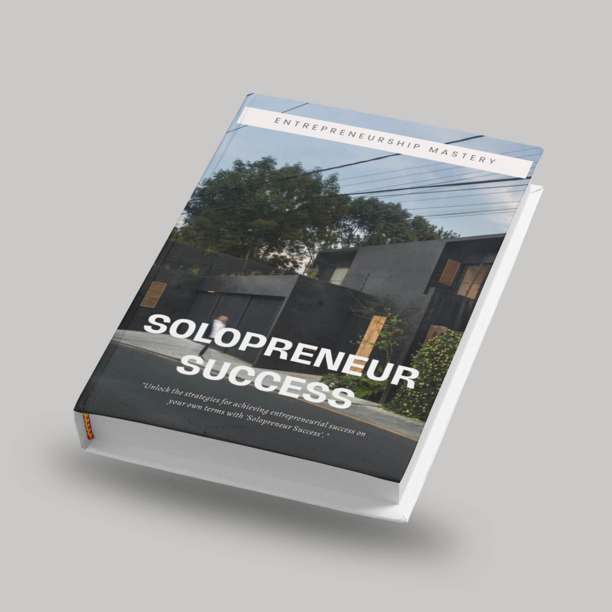 Ebook sur la réussite du Solopreneur