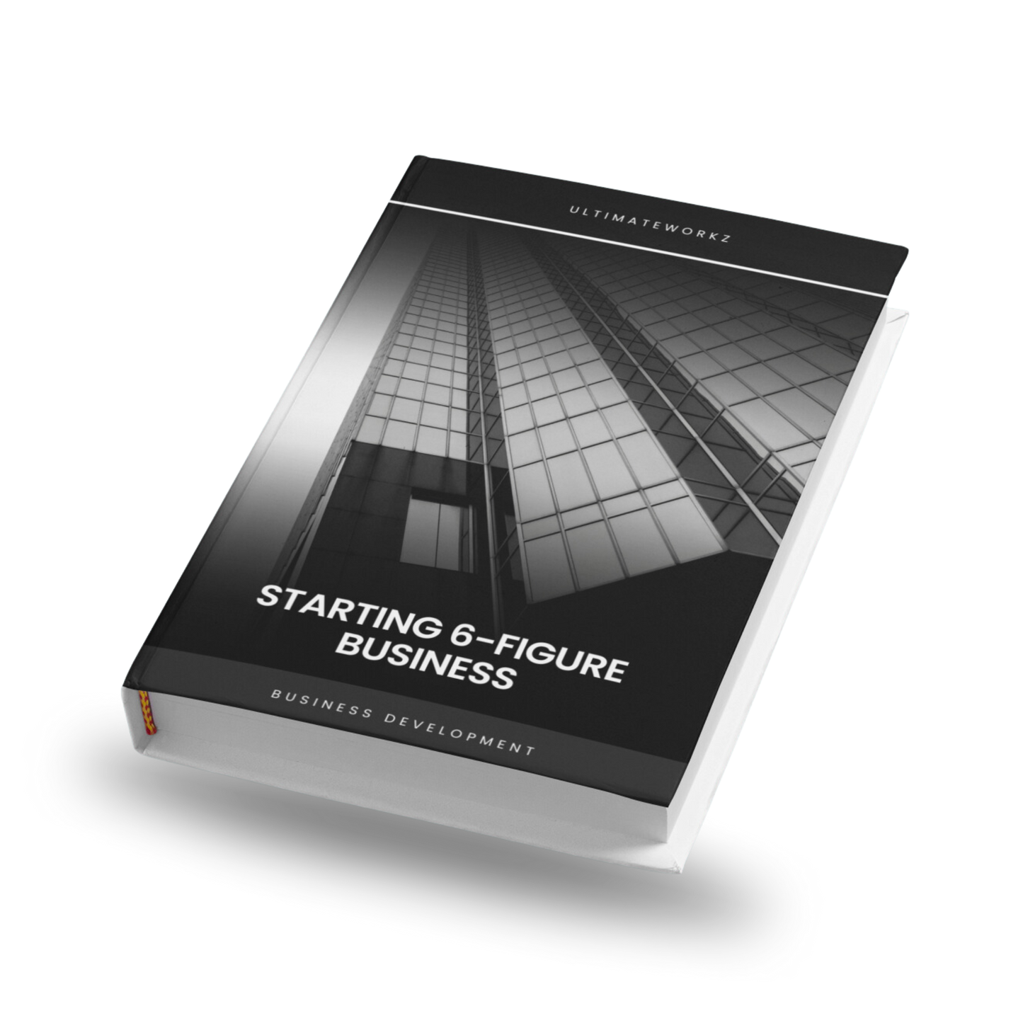 Starting a Six Figure Buisness Ebook