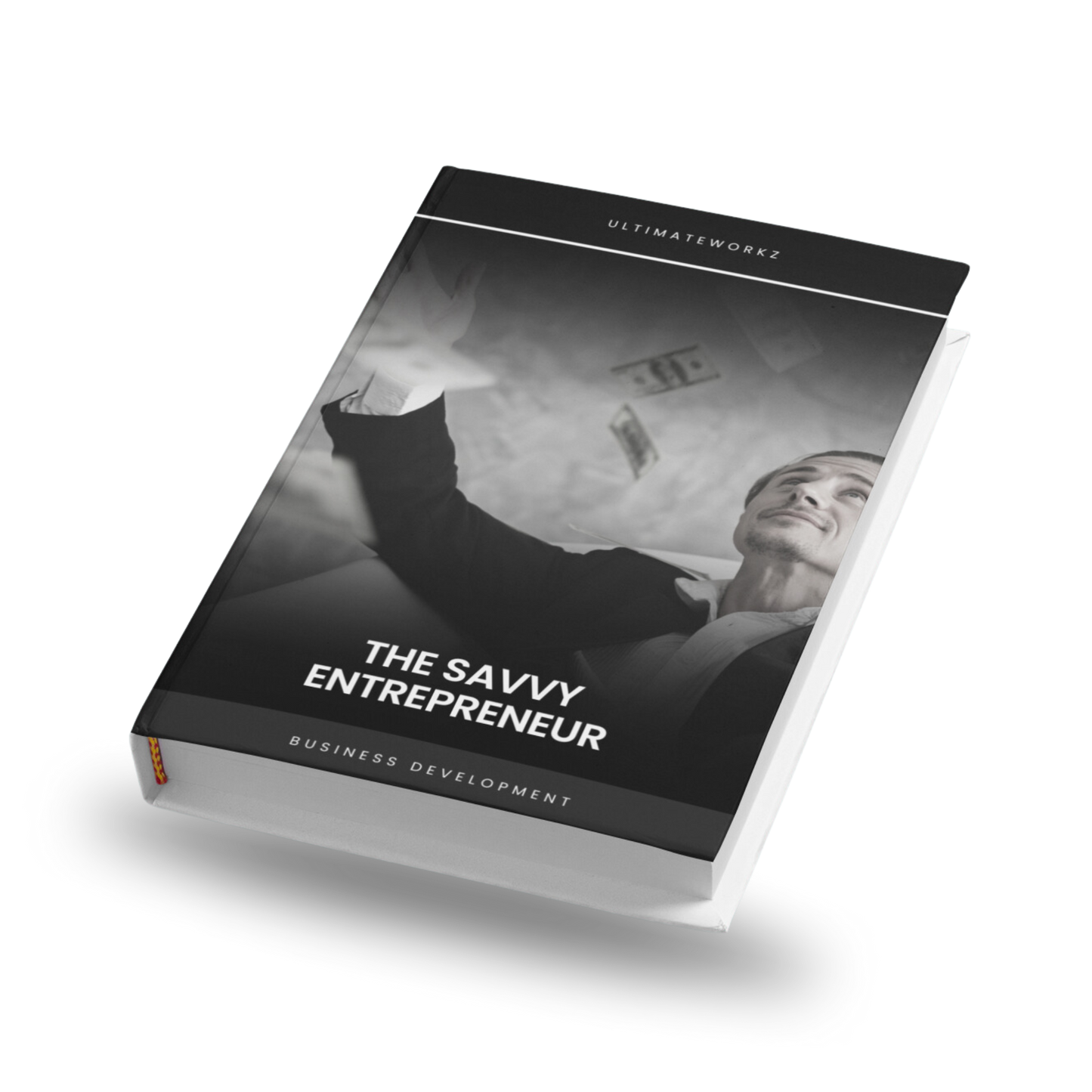 The savvy Entrepreneur Ebook