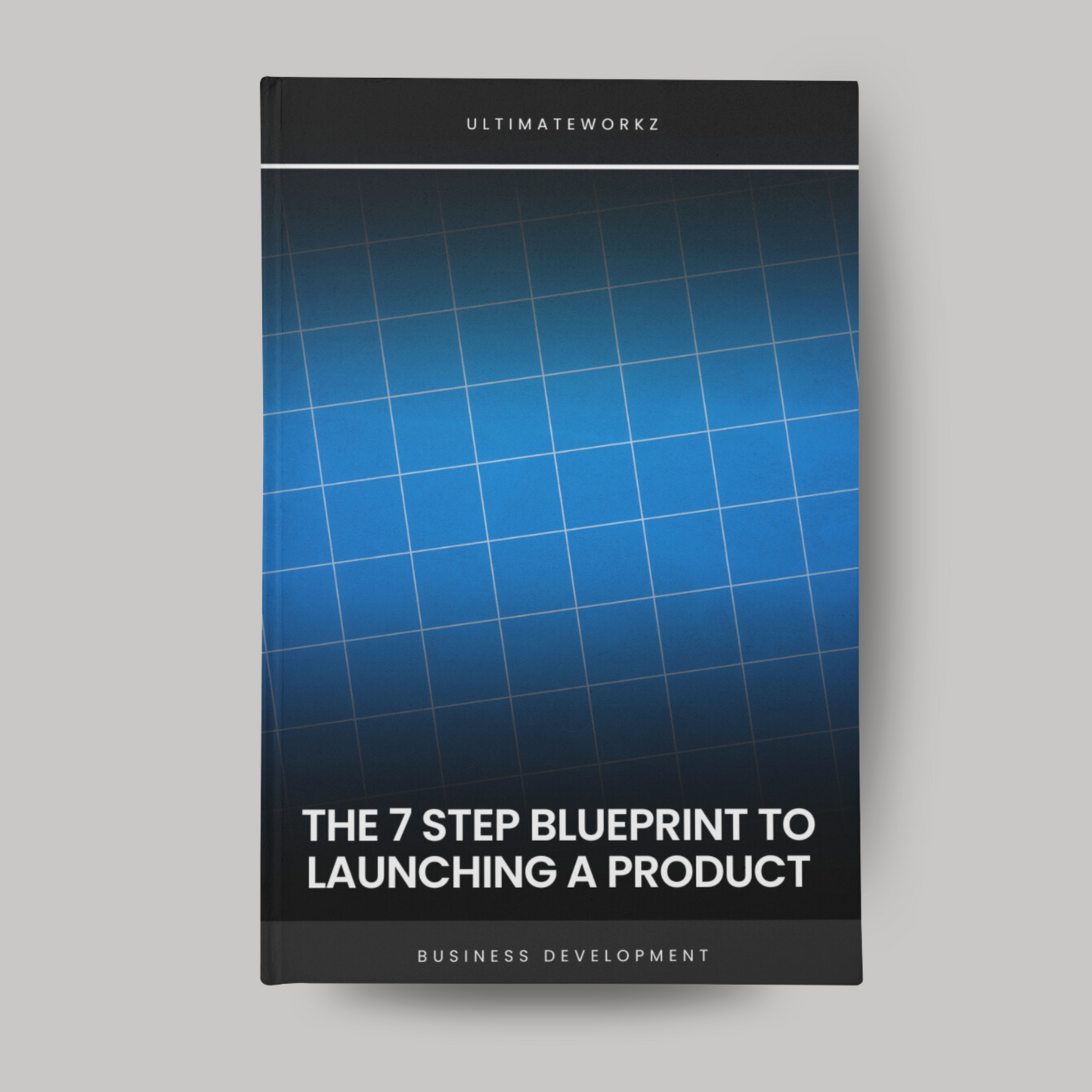 The 7-Step Blueprint to launching a product Ebook