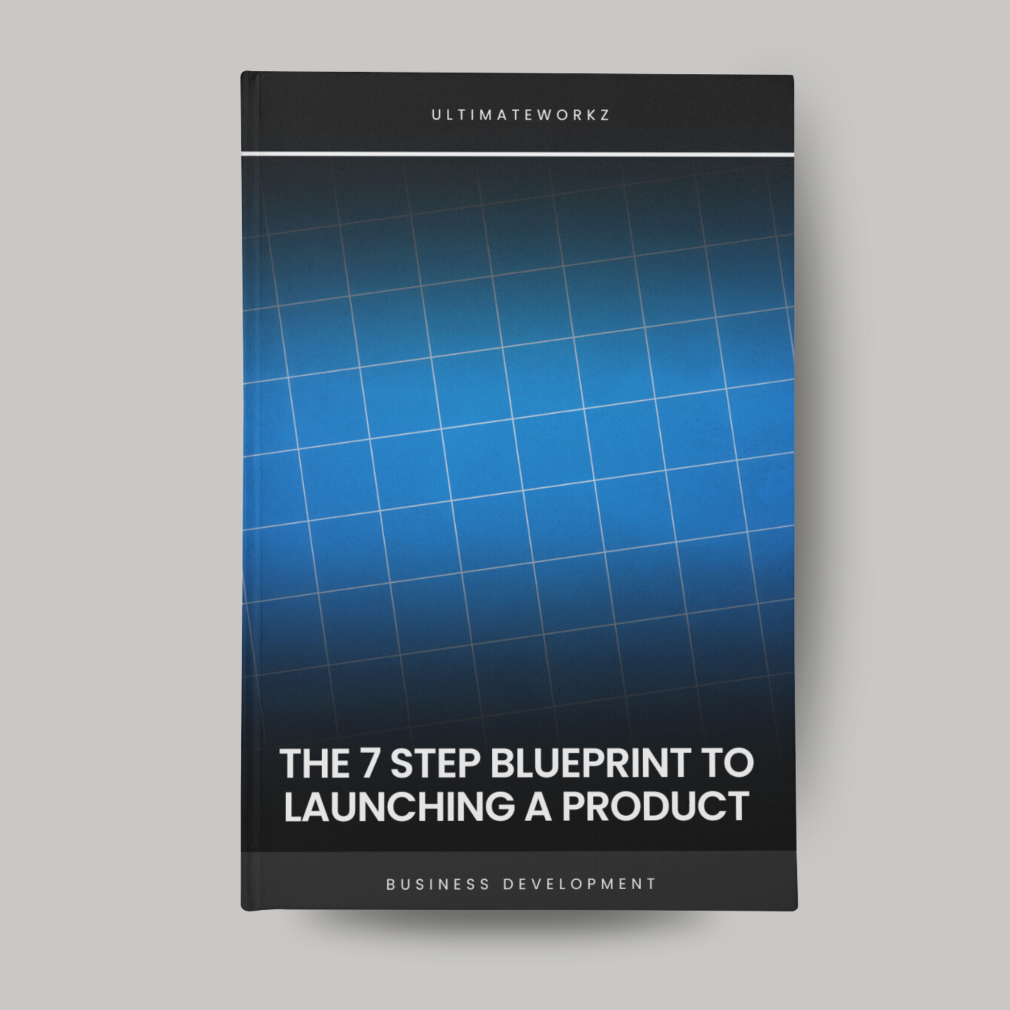 The 7-Step Blueprint to launching a product Ebook