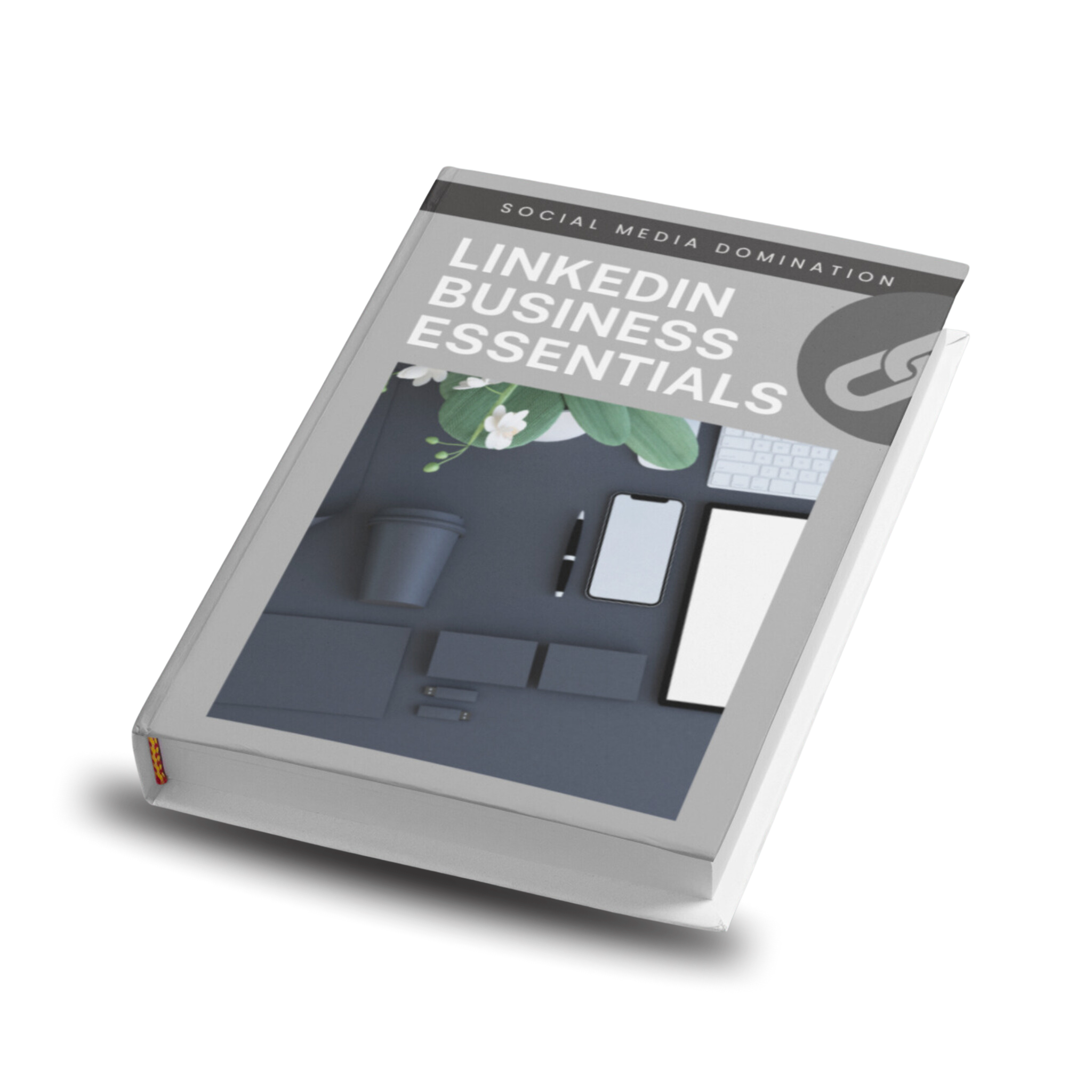 LinkedIn Business Essentials Ebook